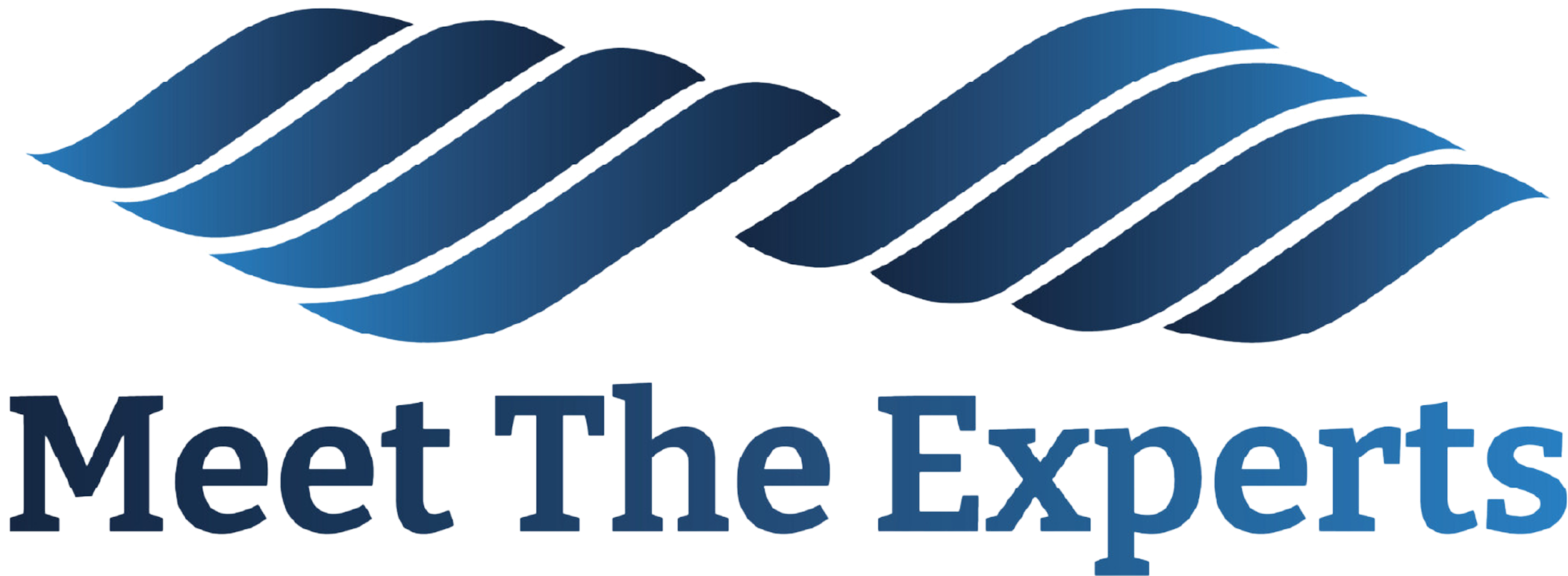 Meet The Experts 2025