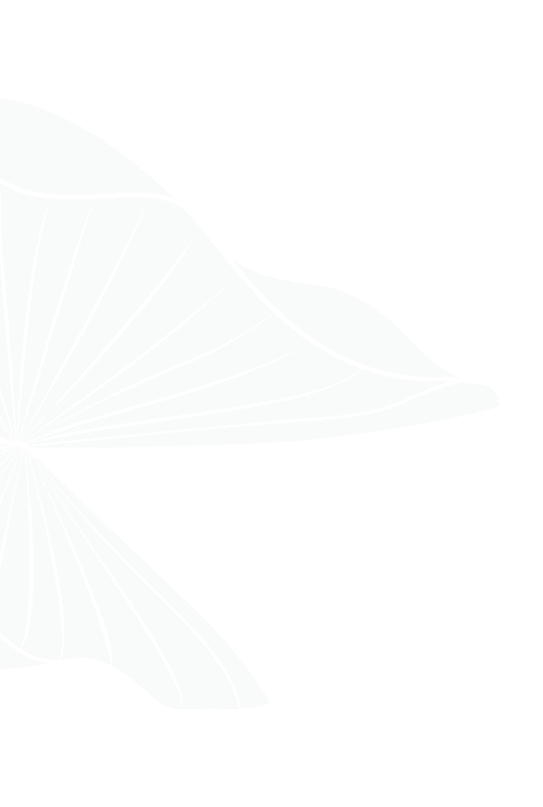 LUMIÈRE Essence Peak