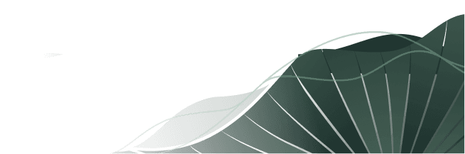 LUMIÈRE Essence Peak