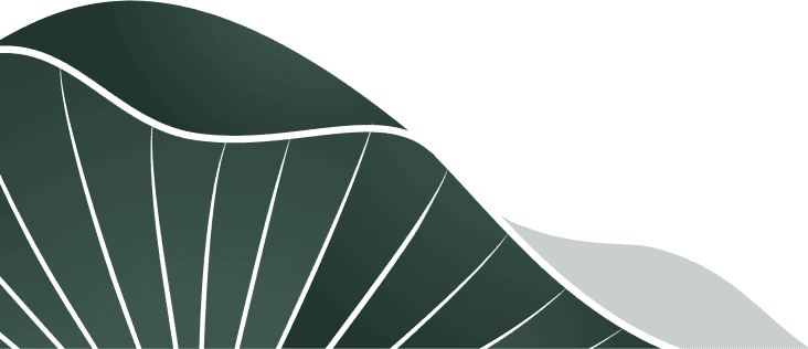 LUMIÈRE Essence Peak