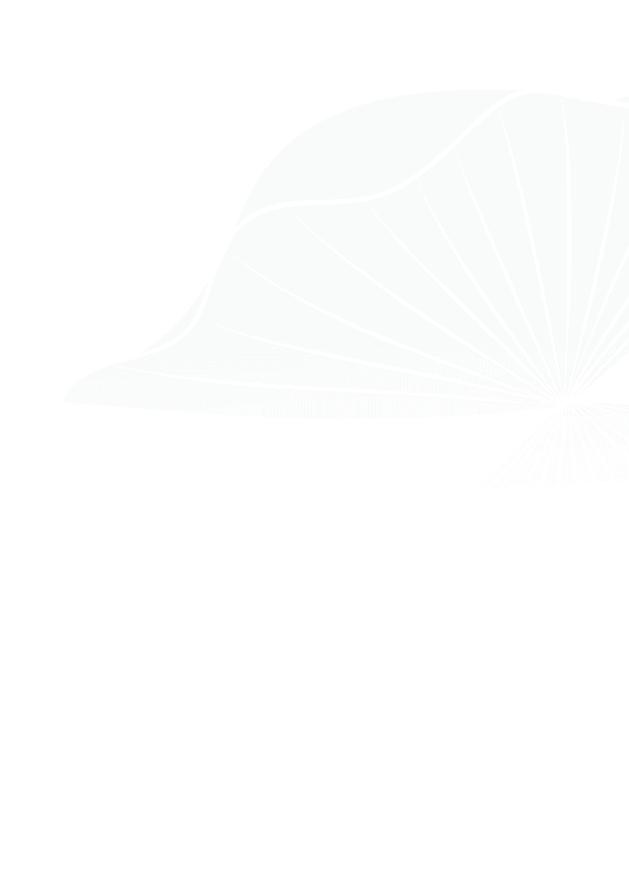 LUMIÈRE Essence Peak