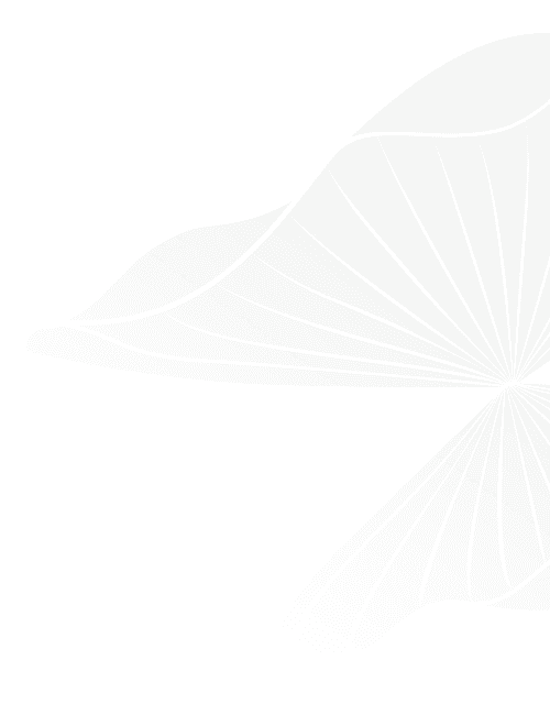 LUMIÈRE Essence Peak