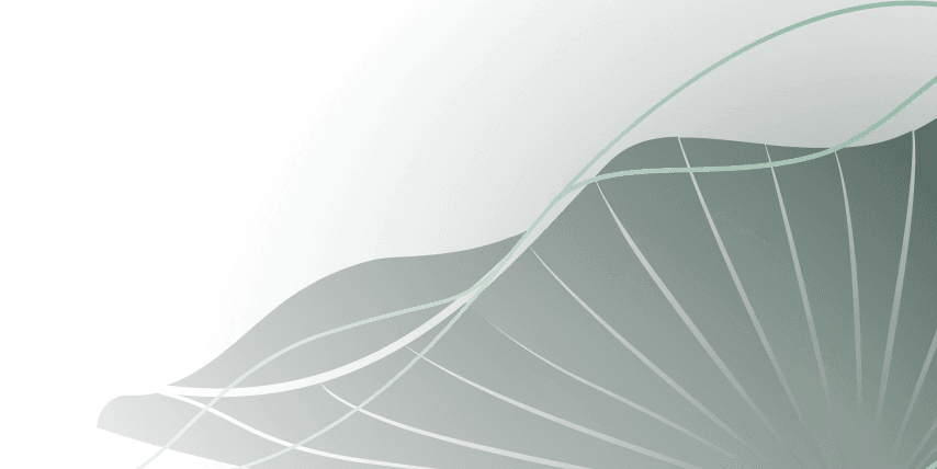 LUMIÈRE Essence Peak